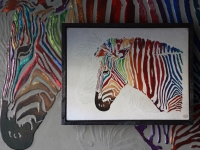 zebra-multicolor-shadow-ii